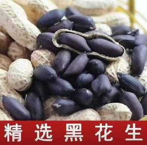 ڻ