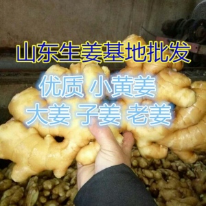 Ĵּ۸