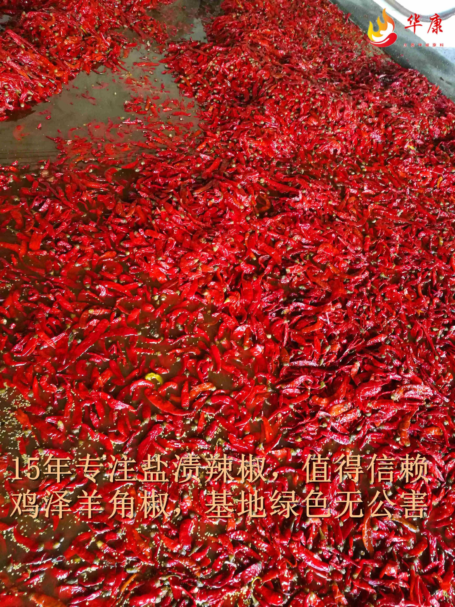 ڼǽŻ